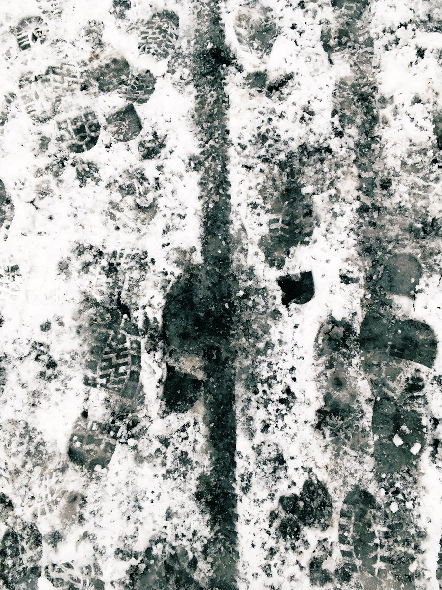 illdoitanyway's tweet photo. Breakfast walk in Narnia/ #Buckpool nature reserve today as I am online till late. Very satisfying tramping through crunchy snow and frozen mud! https://t.co/sTzfdDNmHQ