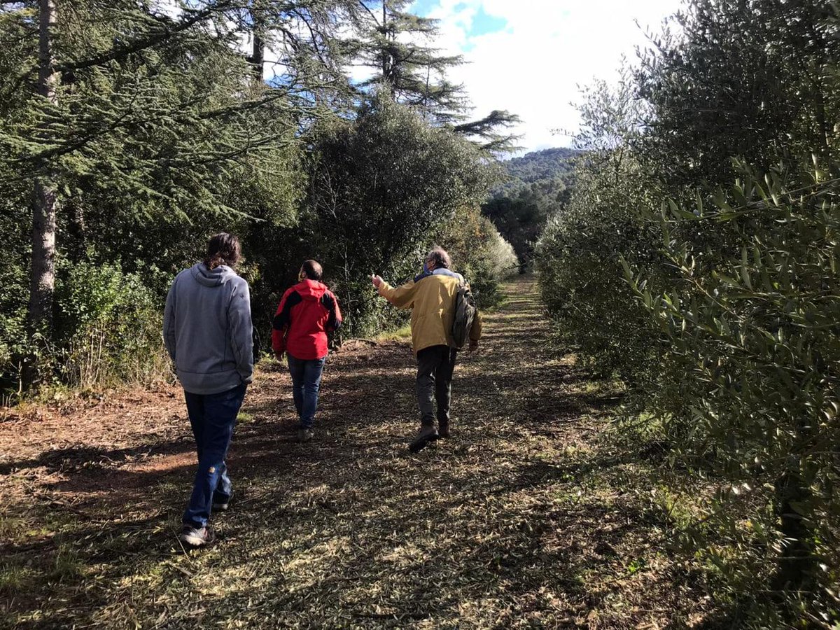 dlaecollserola's tweet photo. Comença l'assessorament per al disseny en línia clau amb @keyline_mbadia @organicmanagers en 3 finques de Collserola: @tartanacbofill #OliTinet @olivera_coop per millorar la retenció d'aigua i aprofitar les escorrenties. Un dels assessoraments d'Arrela't, anirem fent seguiment!🌄 https://t.co/fuW7cCiutm