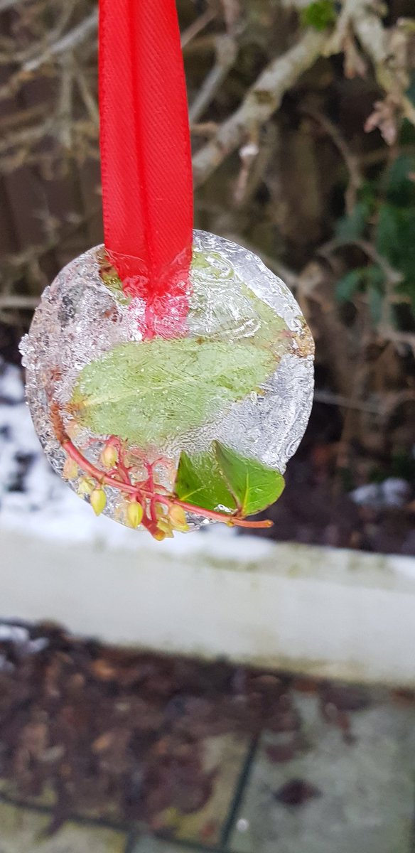 becca2085's tweet photo. @TynpMrsSandMrsC 
Llewellyn ice decorations https://t.co/7hHlLqkAma