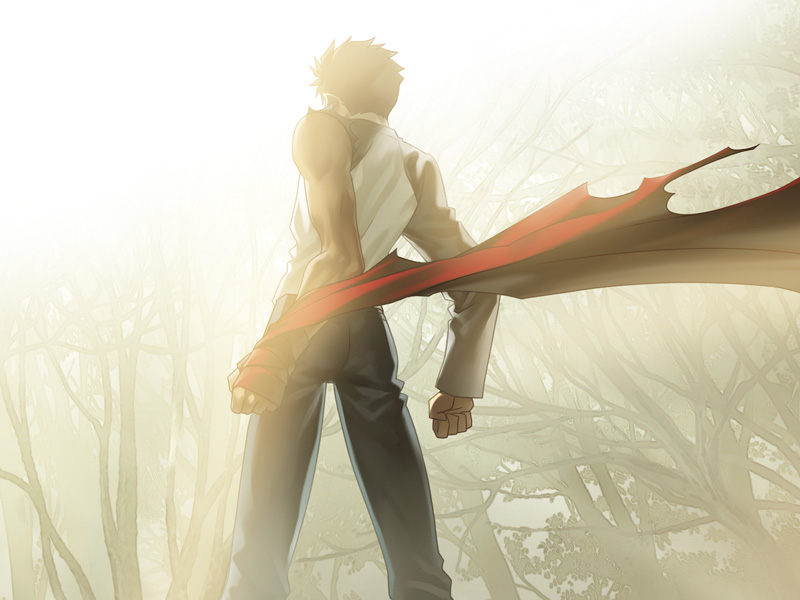 Heaven's Feel is where Shirou diverges from Archer the most, by betraying the ideals that he has promised to follow, and ultimately surpassed Archer.