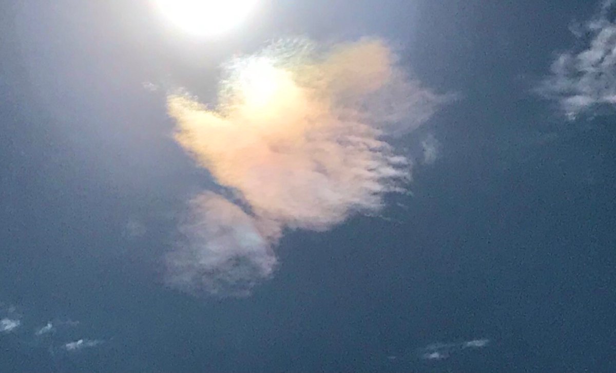 可愛い雲 可愛い雲