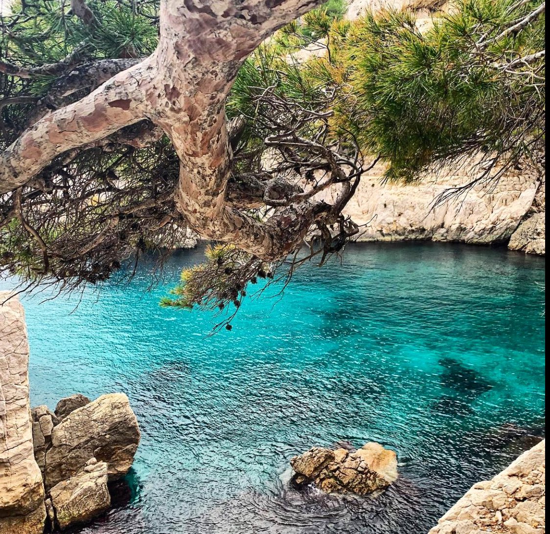 fsthandwear's tweet photo. La calanque aux couleurs de l’hiver ❄️
#winter #sea #sun #south https://t.co/64AO9uyXaU