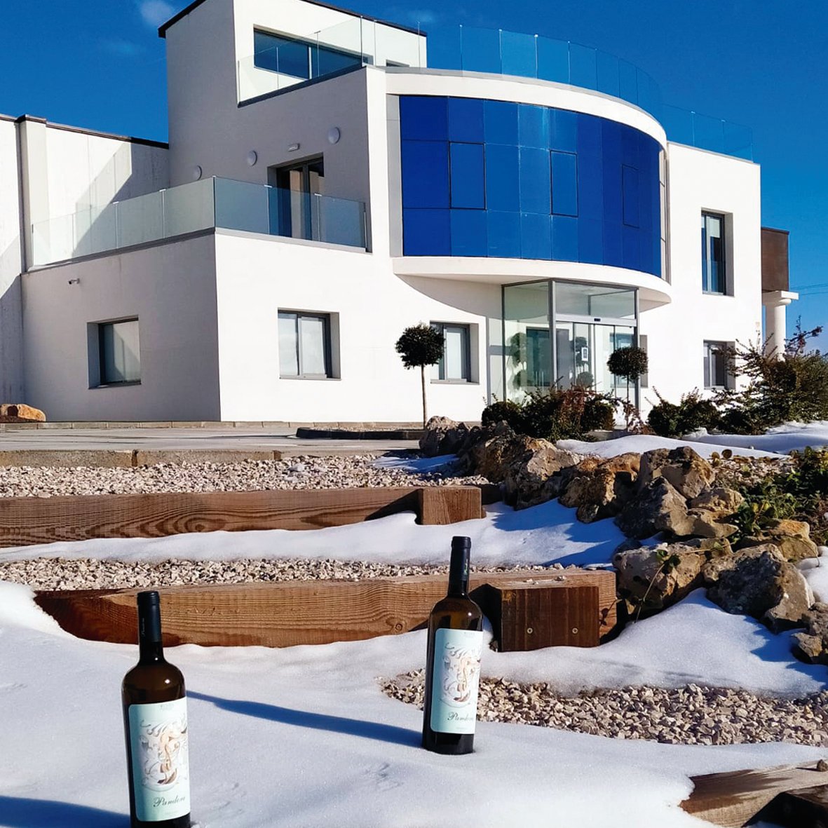 BodegasPandora's tweet photo. Por qué #Filomena le ha venido muy bien a las viñas 
https://t.co/fmdFQrUzkB #curiosidades #vino #winelover #viticultura #enologia https://t.co/BH4LpqkOyS