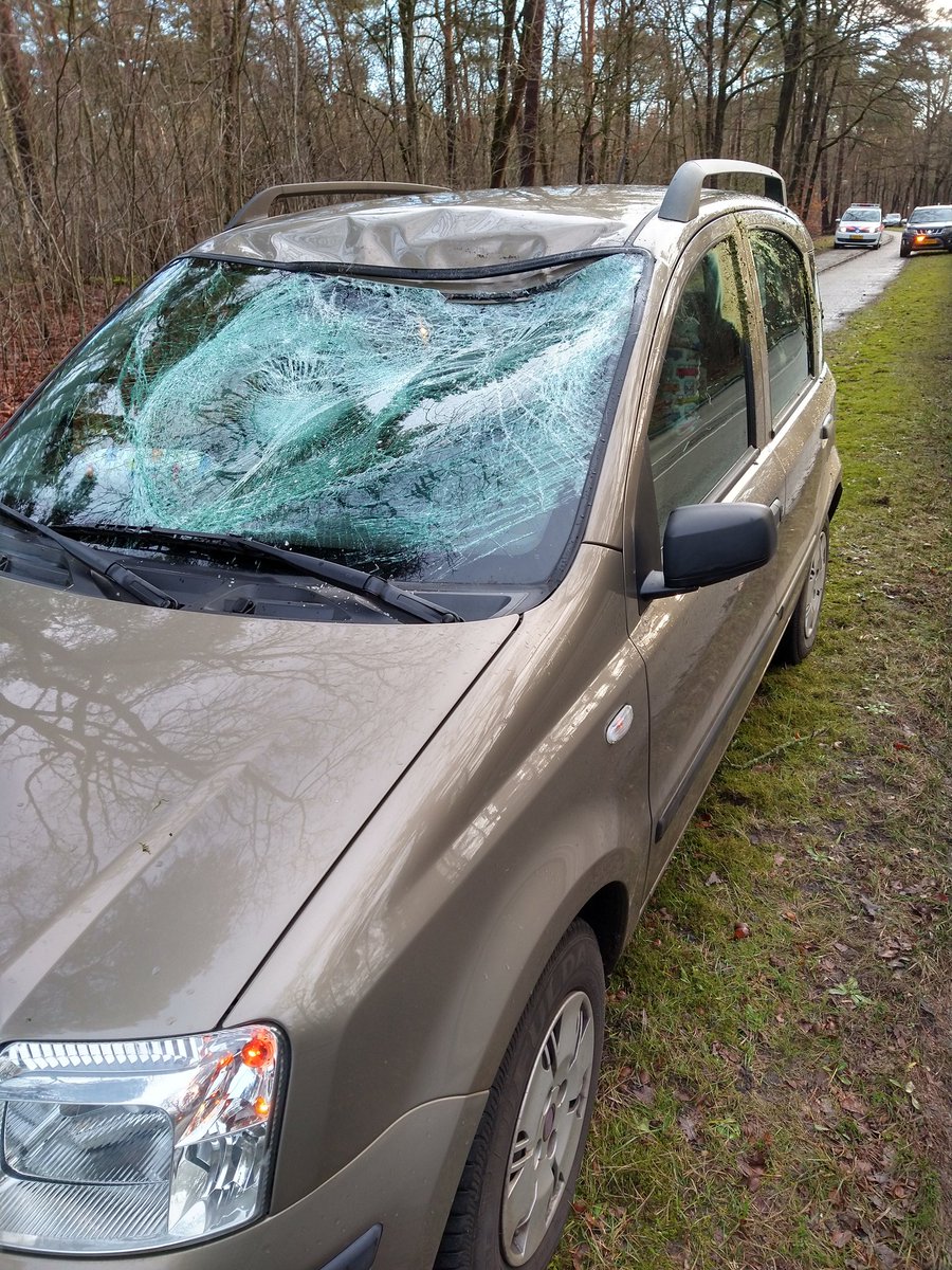 Neemt u deze foto's even in u op voordat u met een niet aangelijnde hond de natuur in gaat? Bejaard echtpaar kwam in dit geval gelukkig met de schrik vrij. Reebok werd opgejaagd door een hond.