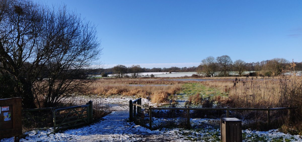 ADLJ's tweet photo. Blue skies, frozen ponds and crispy snow yesterday.
#Hampshire #Edenbrook https://t.co/STHoym8YZi