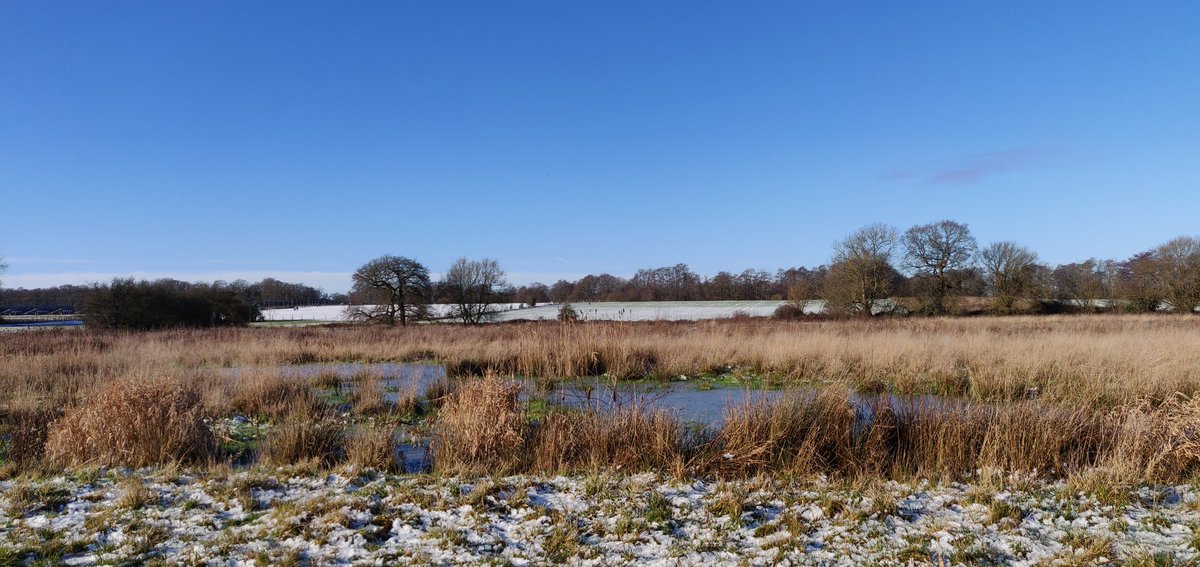 ADLJ's tweet photo. Blue skies, frozen ponds and crispy snow yesterday.
#Hampshire #Edenbrook https://t.co/STHoym8YZi