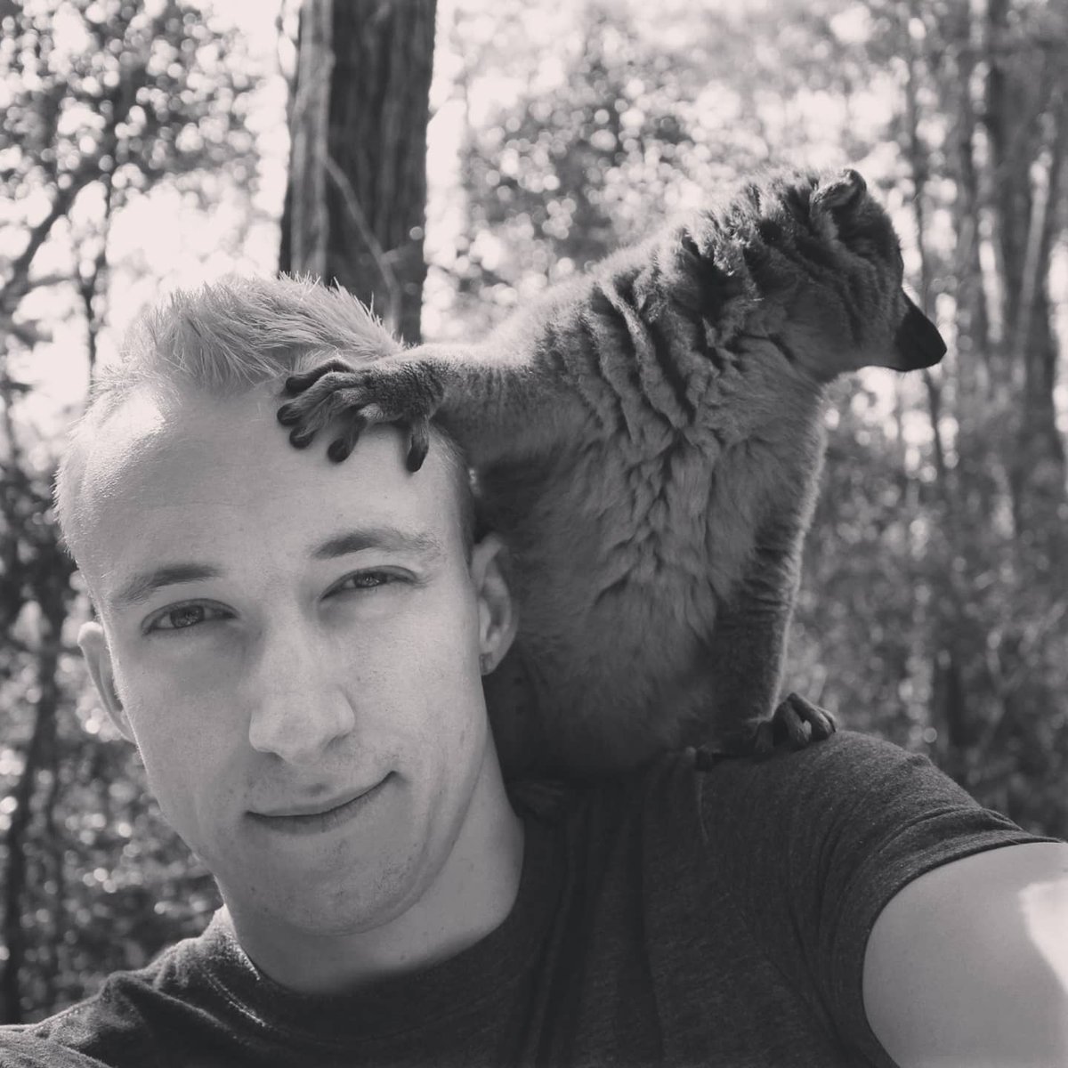 Flashback to Madagascar 2017 with filmmaker @AramAtkinson capturing nature at its best. Over 100 species of lemurs roam the forests in Madagascar which is another reason to visit this beautiful country in addition to their high grade cacao and chocolate! 

#madagascar #lemur