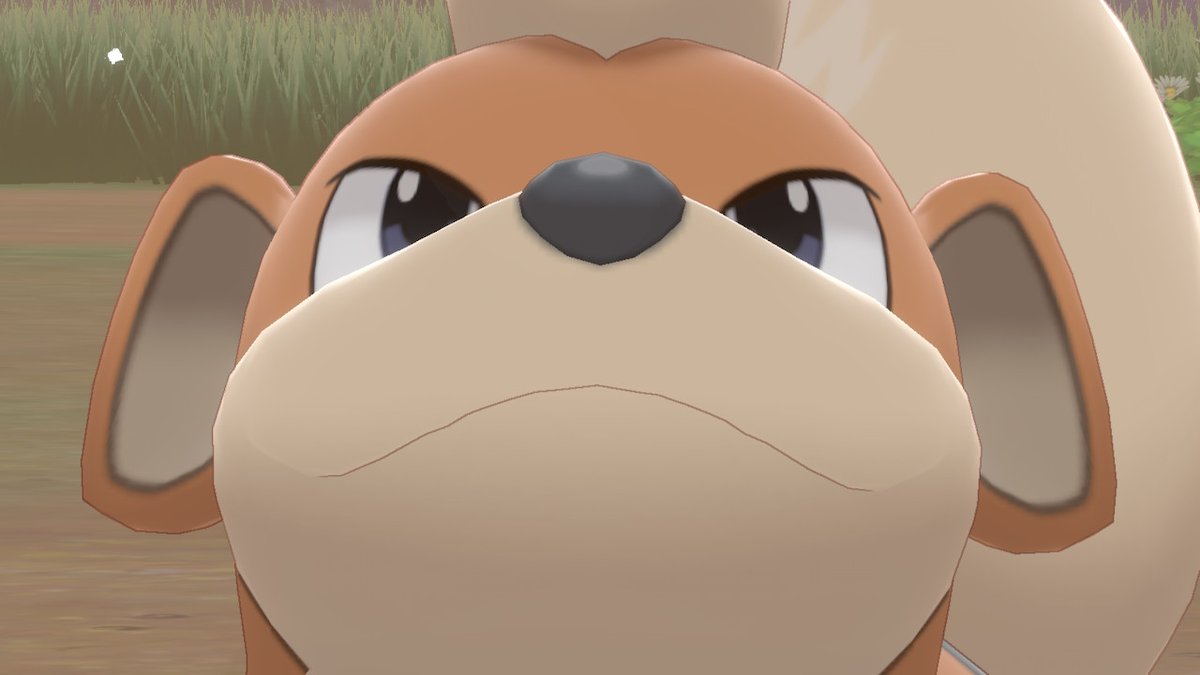 セン卜バ一ナード レジアイスどこだ やっぱりキャンプは最高だぜ 野生の鯉から逃げられないうちの子ｪ ポケモン剣盾 Nintendoswitch