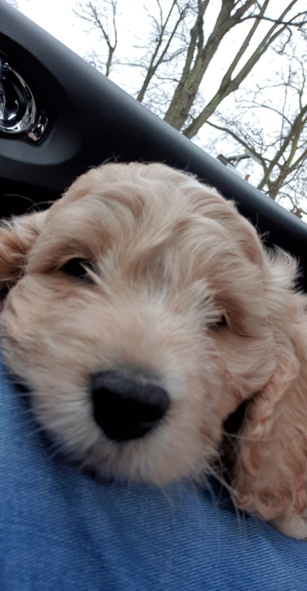 thesommelier tweet media