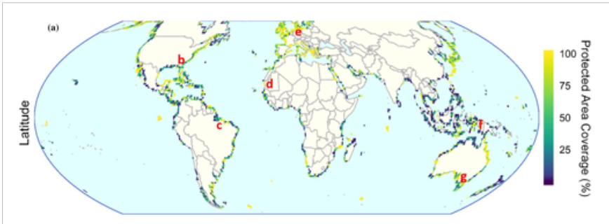 Tidal flats are exceptionally important for shorebirds. 31% of their extent is covered by PAs, which is good news, but these PAs haven't slowed rates of loss since 1999. More effective policies and implementation needed, especially in Asia conbio.onlinelibrary.wiley.com/doi/full/10.11…