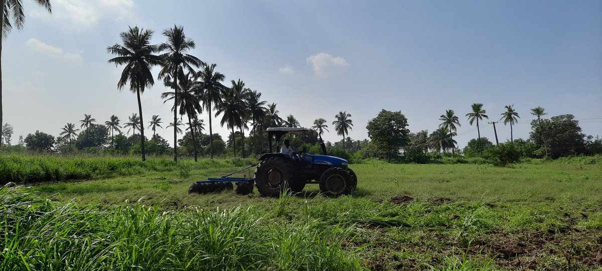 Meanwhile on a farm, field plot being ploughed after the rains for the next sowing of cattle for fodder #GloriaLand #OrganicFarming