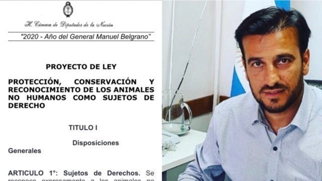 EquipoDMestre's tweet photo. La reconversión de los zoo de Argentina, a esta altura, debería ser una realidad. Tal como lo propuso @DiegoMMestre en @DiputadosAR . Alguien sabe si los animales del zoo de Cba ya han sido reubicados en santuarios o reservas? La pandemia no solo ha sido cruel con nosotros! https://t.co/mG9wBwZKNJ
