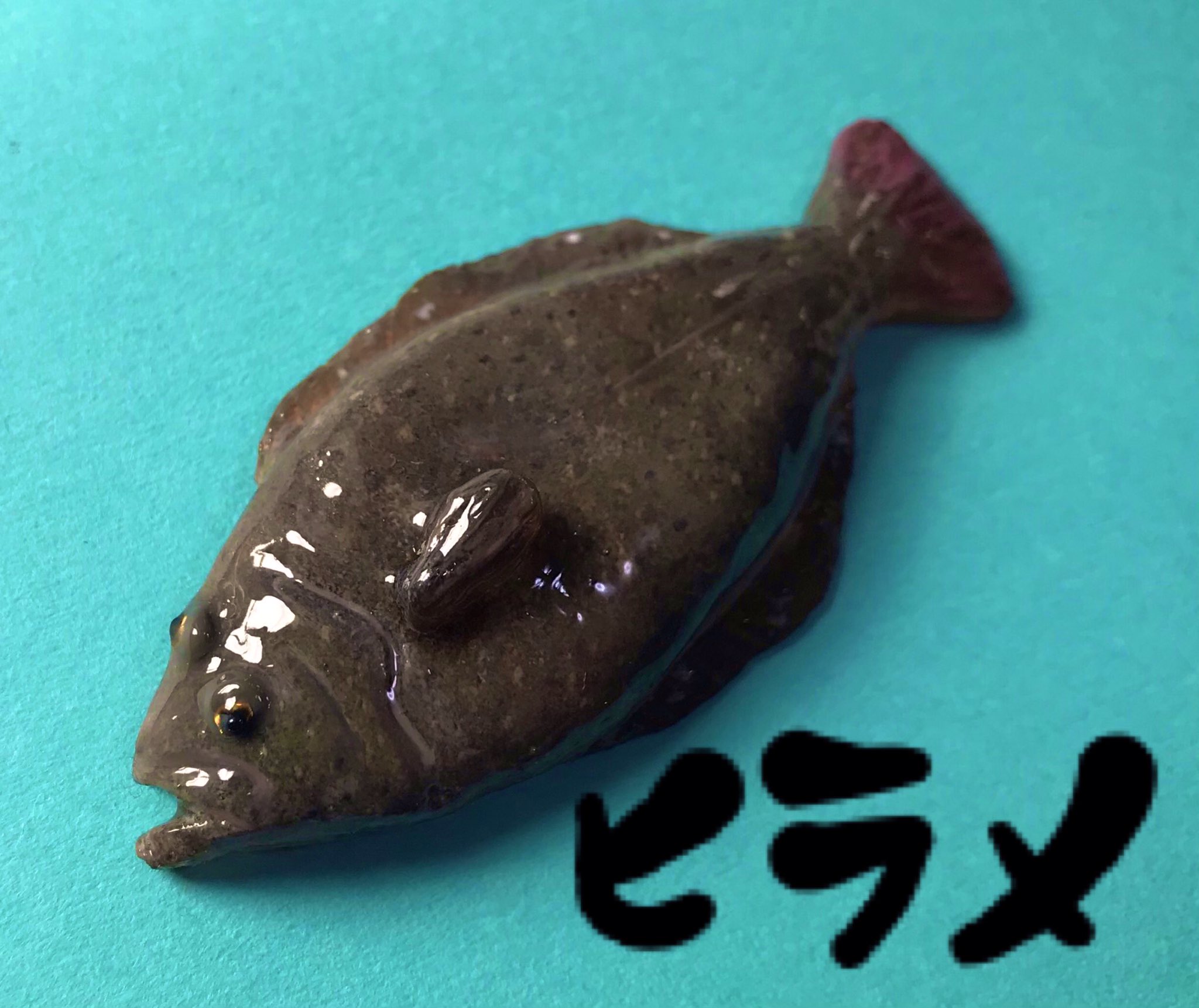 鮃 Twitter Search Twitter