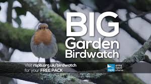 RSPB Big Garden Birdwatch is happening soon. We might not be able to get together with loved ones at the moment so why not make plans to take part in the largest wildlife survey between 29- 31 Jan from the comfort of your own homes.
bit.ly/Abingdonbp #BigGardenBirdWatch
