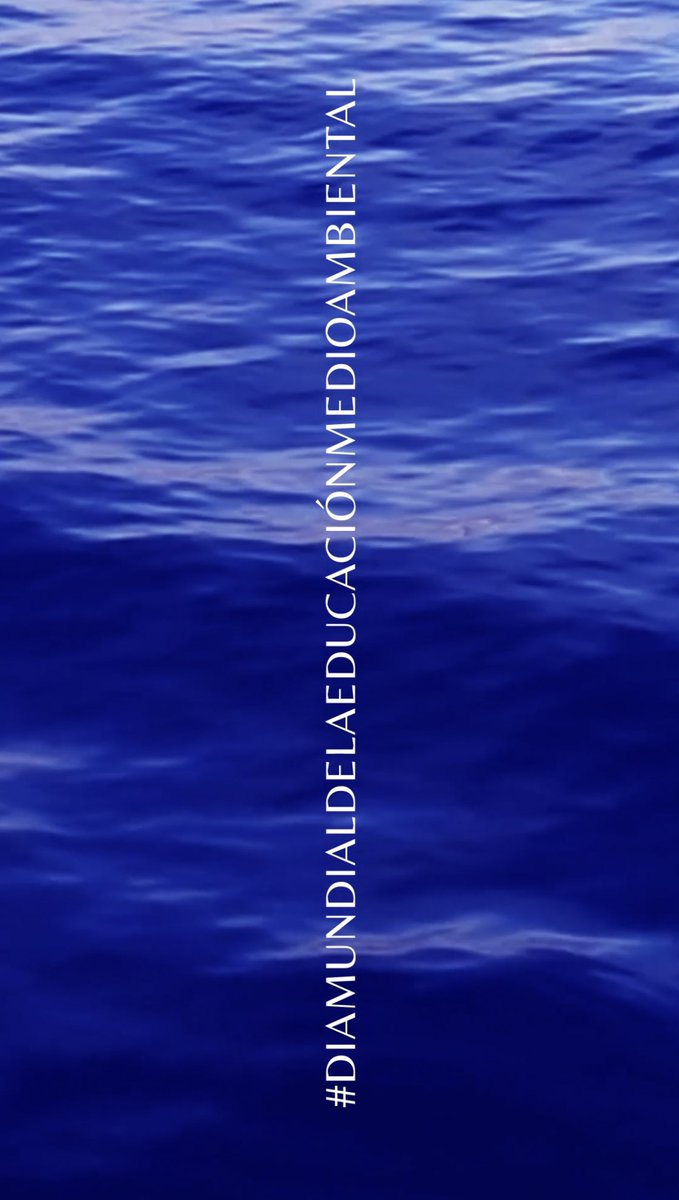 Hoy es el #DiaMundialEducacionAmbiental  Para Tambalea establer unos principios en educación ambientales es uno de nuestros mayores retos. Una sociedad informada fomenta conductas responsables con el medio.
 
#savetheblue
#savetheocean
#oceanbrandlover
