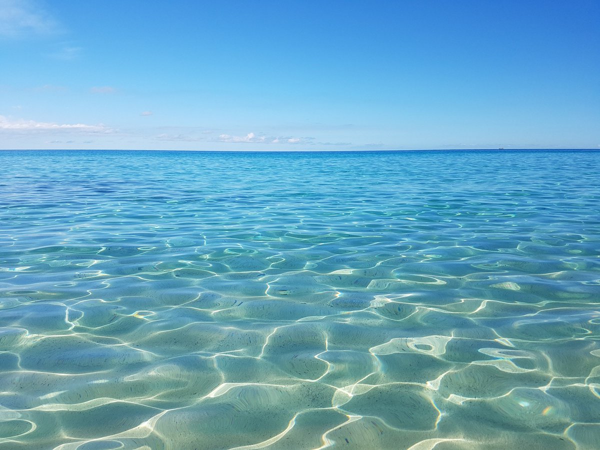 ParkinsonoLimit's tweet photo. The Ocean:is always our partner!
#OceanParkinson #Parkinson #Fuerteventura #FuerteventuraParkinson #OceanEmotionExperienceParkinson #SailParkinson #SeaParkinson #ComplementaryTherapyParkinson #CanaryIslandParkinson #SurfParkinson #WorldParkinsonCongress #WellnessHolidaysParkinson https://t.co/ku96HOTkbx