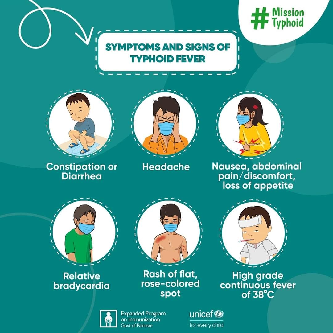 Infographic showing the signs and symptoms of Typhoid Fever