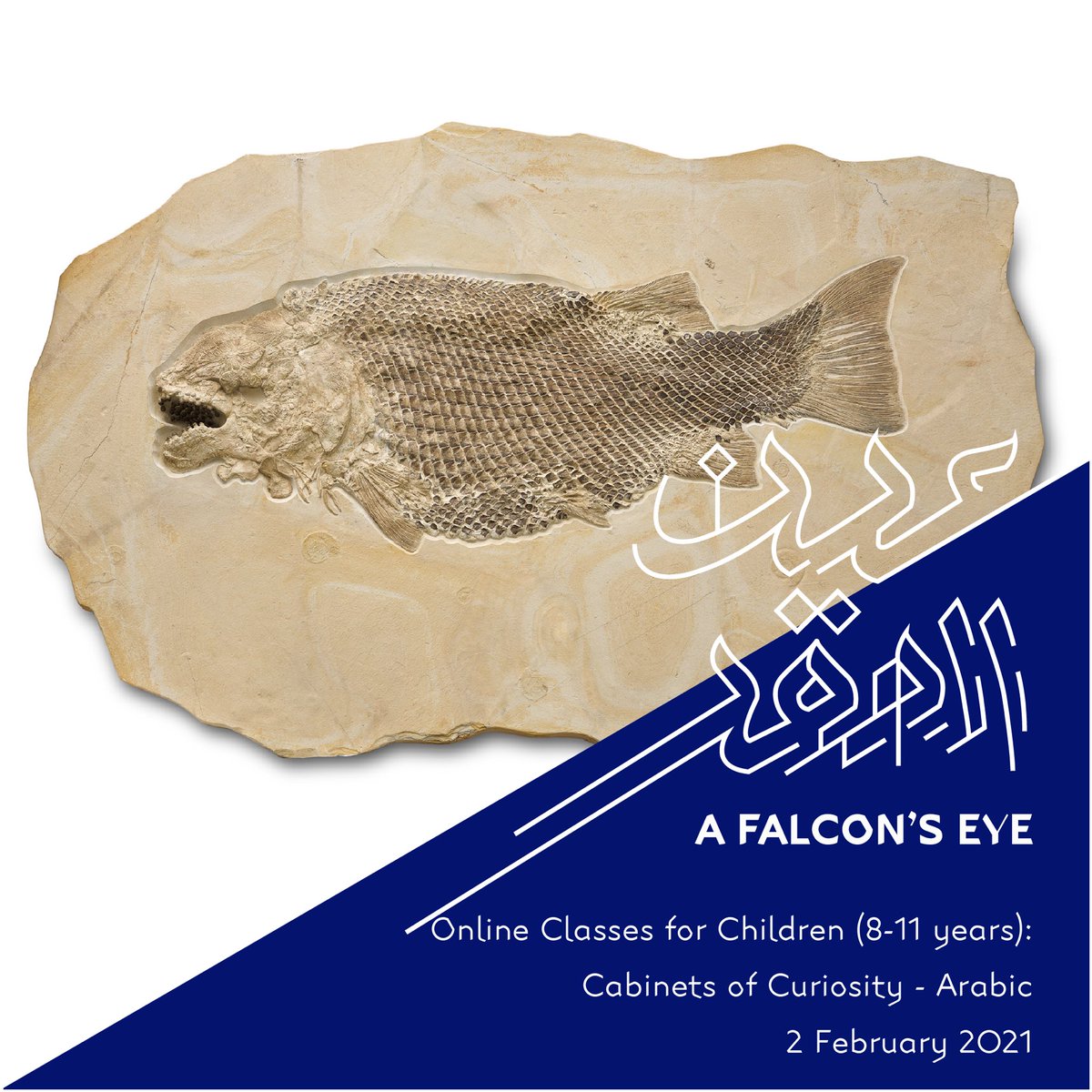Sheikh Saoud was passionate about Cabinets of Curiosity, ways of displaying a wide range of objects to help people understand natural history and classical art in particular. Join us in this online course Book at qm.org.qa/en/cabinets-cu…