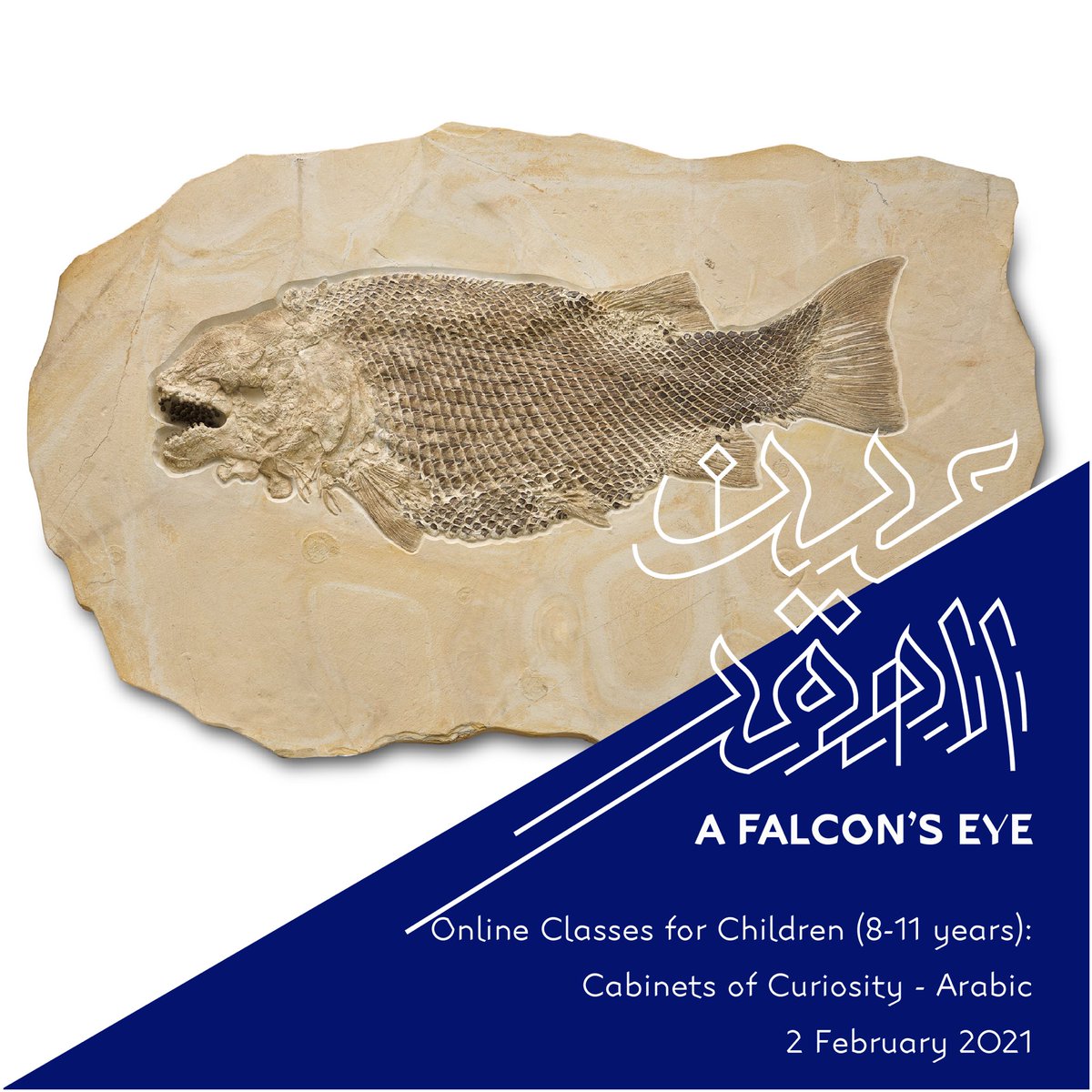 Sheikh Saoud was passionate about Cabinets of Curiosity, ways of displaying a wide range of objects to help people understand natural history and classical art in particular.  Join us in this online course
 
Book at qm.org.qa/en/cabinets-cu…