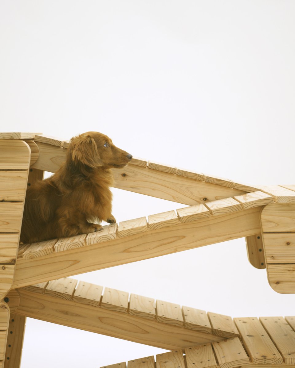 japanhouseldn's tweet image. World-class architectural firms Atelier Bow-Wow and @MVRDV are joining us on Friday for an online conversation on #architecture. The event will explore each architect’s wider body of work and vision. Join us for free: bit.ly/35QC4rC #ArchitectureForDogs