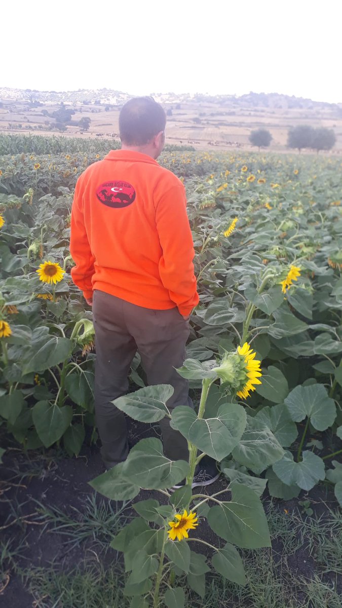 #yabandabizimvatandabizim 
Daglari şer guclerine birakmayiz