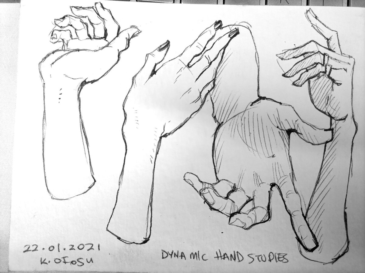 Studies 