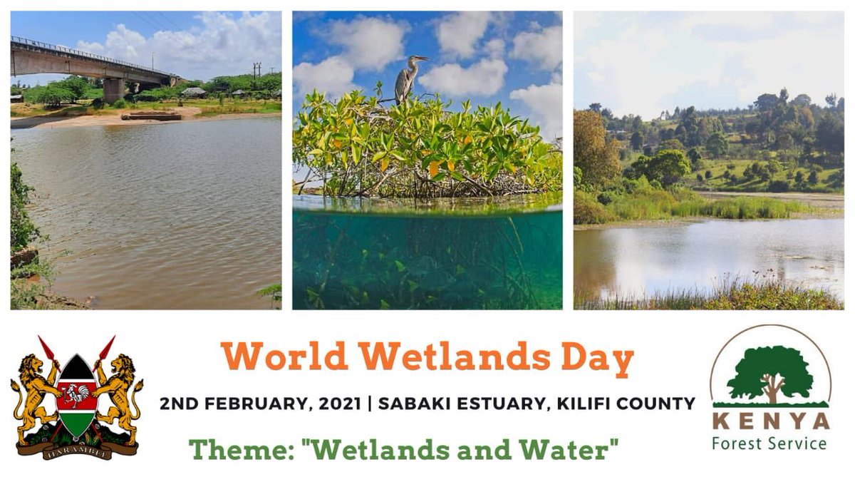 KeForestService's tweet photo. Save the date! #WetlandsandWater https://t.co/DJE4iBbRfN