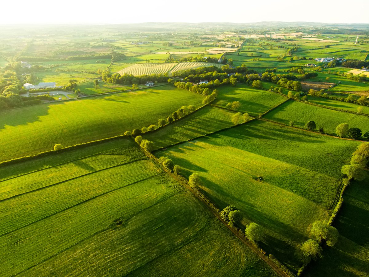agriculture_ie's tweet photo. 📢 #jobfairy
We’re hiring an Earth Observation Specialist in #Laois
The job involves providing support in the implementation of the Common Agricultural Policy #CAP regulations. #entirl #space
🗓Apply before closing date on Thursday, February 11.
📍https://t.co/R8KJ8WJpMy https://t.co/YH99ZZPEN2