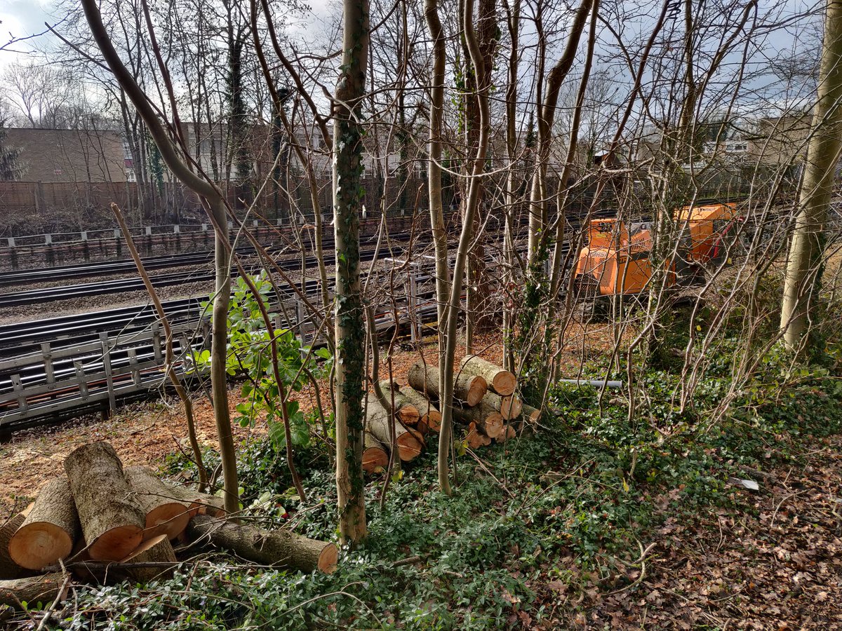 TFL continues to destroy precious habitat running along the Met line for a 3rd week

🛤️Trackside green corridors make up to 10% of all green spaces in London

For our wildlife & health they need to be protected
@sianberry @CarolineRussell @GreenLondonAMs wembleymatters.blogspot.com/2021/01/tfls-d…