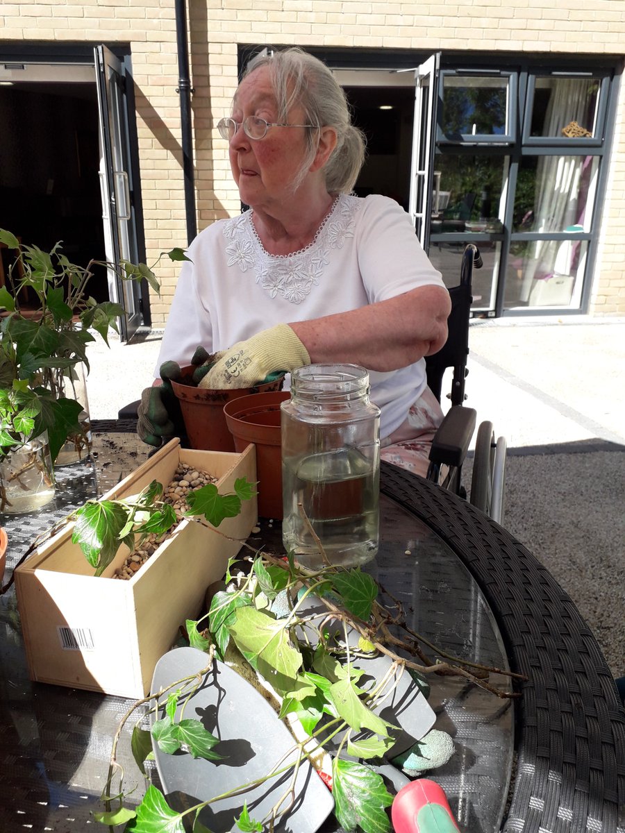 MHA_Wilderness's tweet photo. Some of the beautiful Ivy we are propagating is finally growing and spreading well and strong! 

Planning for the future can be difficult, but doing gardening means you’re investing in the future, and seeing the results of your hard work.

#pathtowellbeing #hope #greencare https://t.co/CXuYcxJQE8