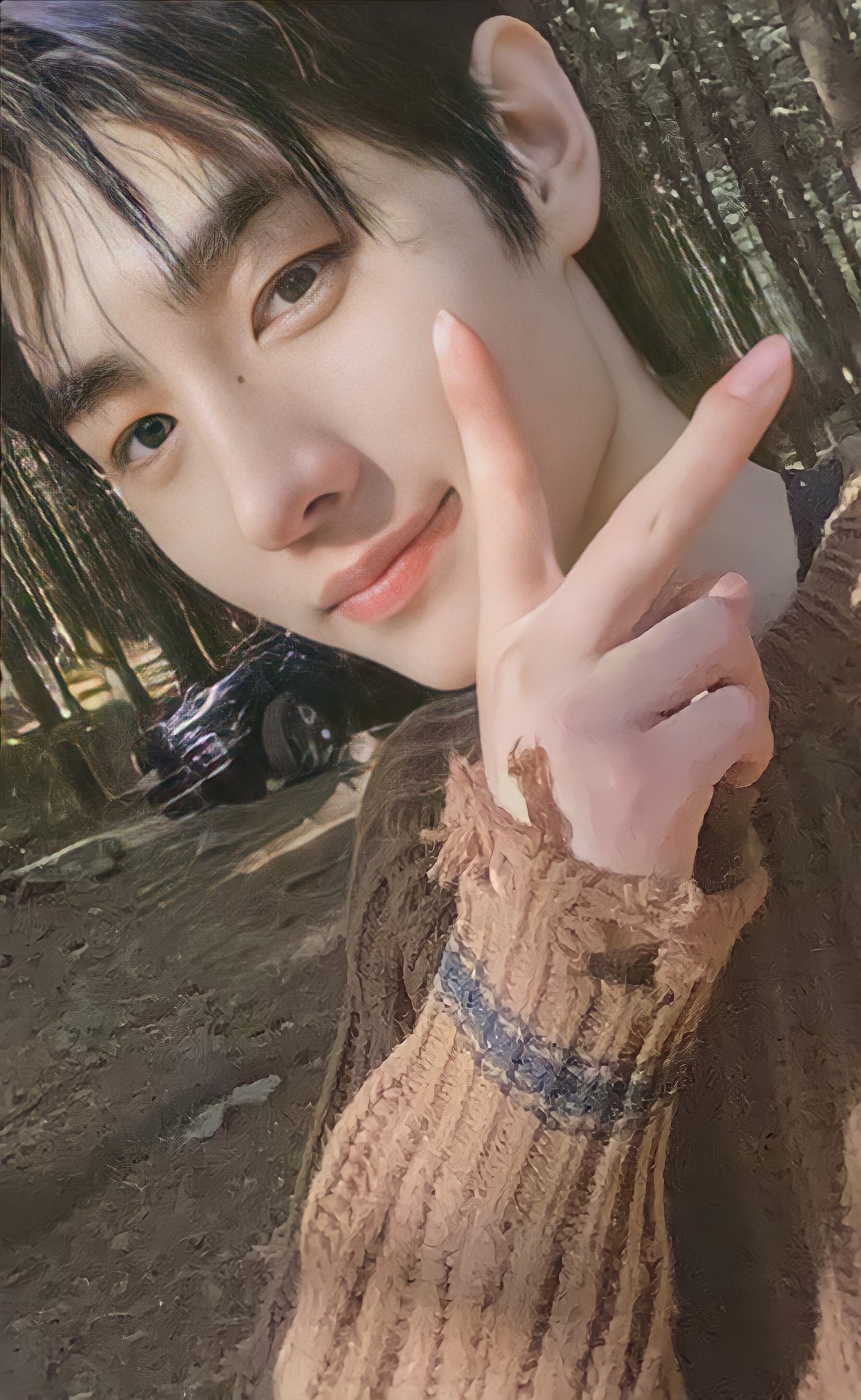 냥원 Enhypen Border Day One Album Weverse Pob Photocard Scan 형 라인 Hyung Line Ctto T Co Mmffb0iiv1 Twitter