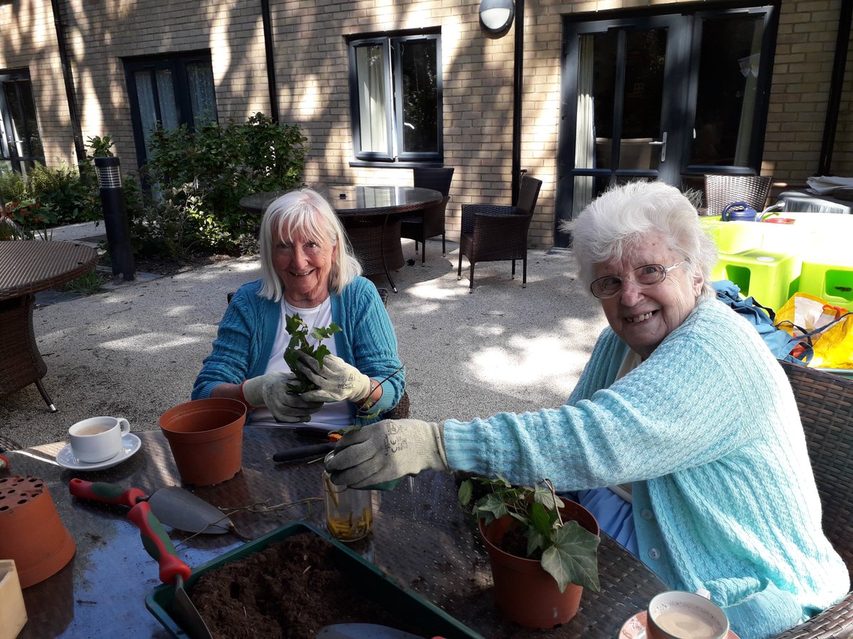 MHA_Wilderness's tweet photo. Some of the beautiful Ivy we are propagating is finally growing and spreading well and strong! 

Planning for the future can be difficult, but doing gardening means you’re investing in the future, and seeing the results of your hard work.

#pathtowellbeing #hope #greencare https://t.co/CXuYcxJQE8
