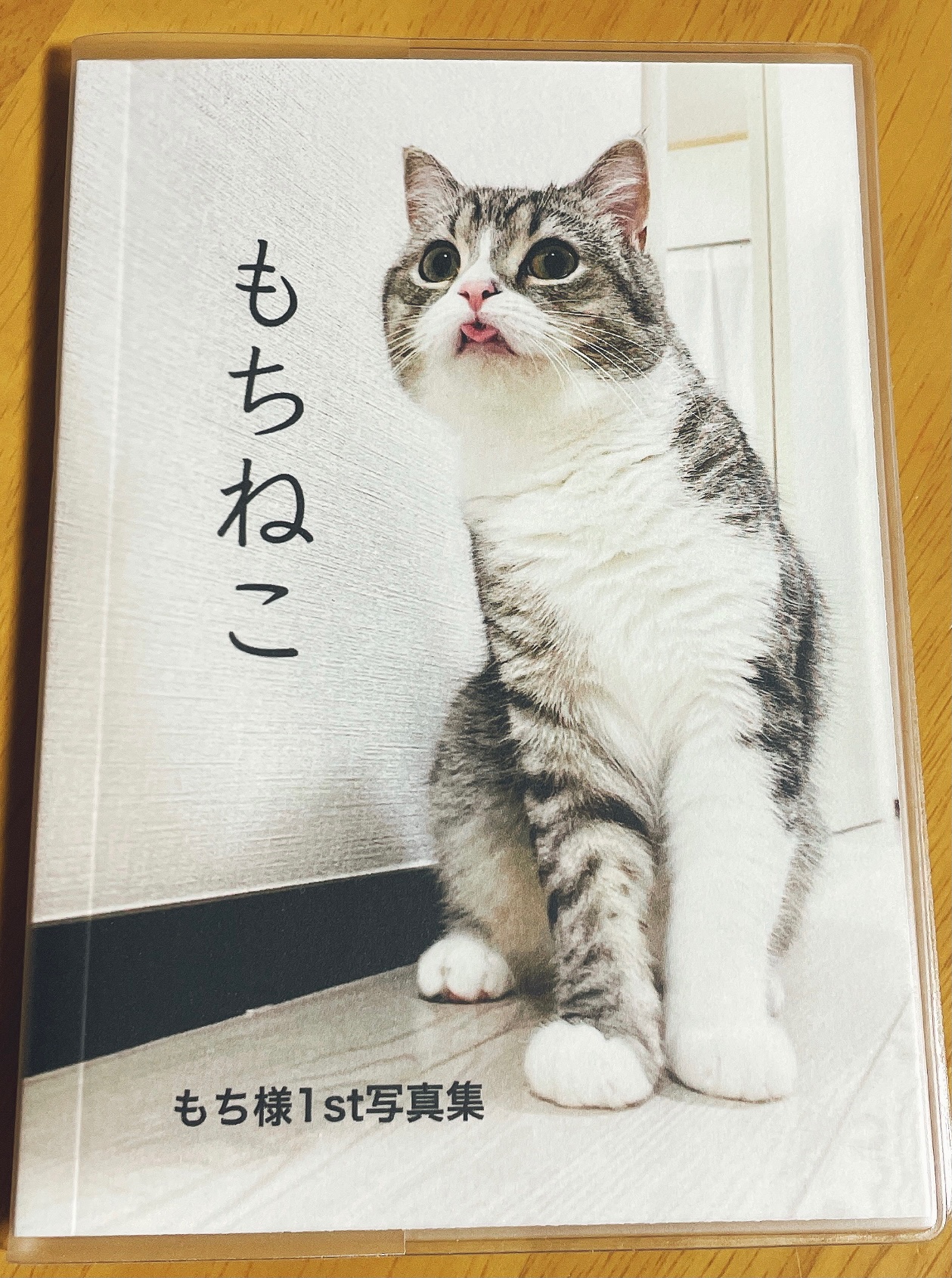 まな あやたつ 今日もち様写真集届きました どのページも可愛いです 下僕様がもち様を大事にしていて もち様も下僕様が大好きで そんな気持ちも伝わってくる写真集でした もちまる日記 もち様 もちねこ もち様1st写真集 まな あやたつ 今日もち様写真集届きました どのページも可愛いです 下僕様がもち様を大事にしていて もち様も下僕様が大好きで そんな気持ちも伝わってくる写真集でした もちまる日記 もち様 もちねこ もち様1st写真集
