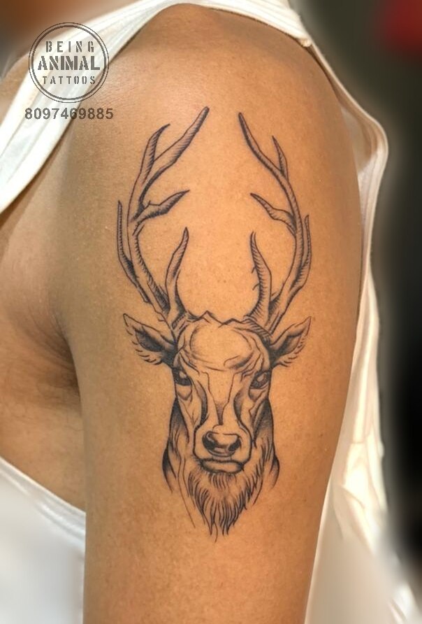 Being animal tattoos Sachin on Twitter: Being animal tattoos Sachin on Twitter: