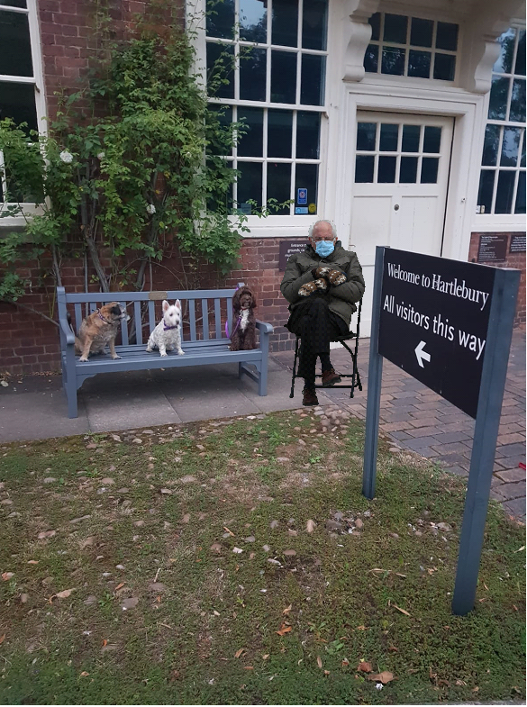 HartleburyCPT's tweet photo. Waiting patiently. #BernieSandersMittens #berniesmittens #dogs #castlecanines #castledogs #WorcestershireHour https://t.co/k7JDxL2hKb