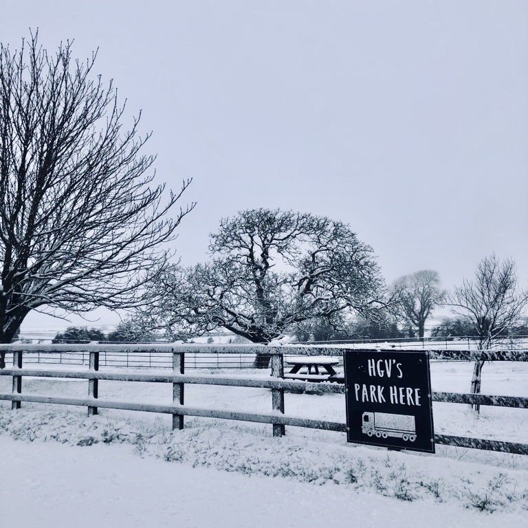 MarshfieldIces's tweet photo. Our wish has been granted and we were treated to a sprinkle of Marshfield Magic across our fields over the weekend ☃️❄️ #SnowDay #StraightFromTheFarm https://t.co/6HOaXHU1aa