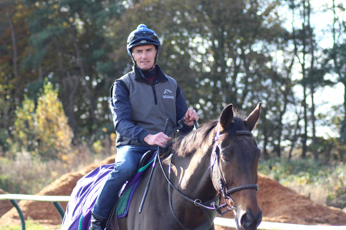 The_NHC's tweet photo. ✅🌍 There are so many opportunities to travel the world with racehorses. From Dubai to Australia, many of our students have gone on to visit many different countries🏇

Here are a few faces you may recognise who've all achieved incredible things since graduating from #theNHC https://t.co/blmB6dXMh0