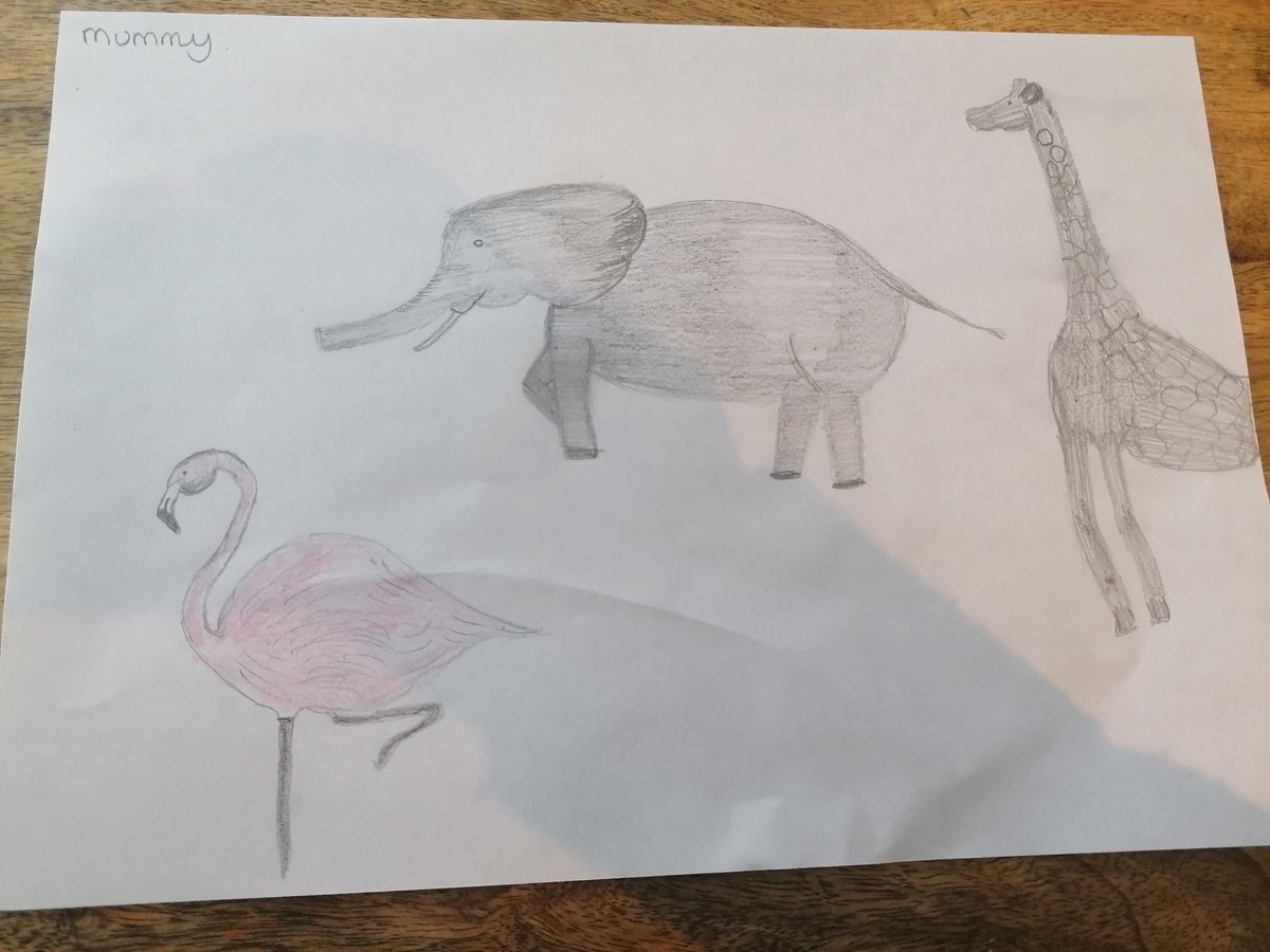 vicki price tweet media