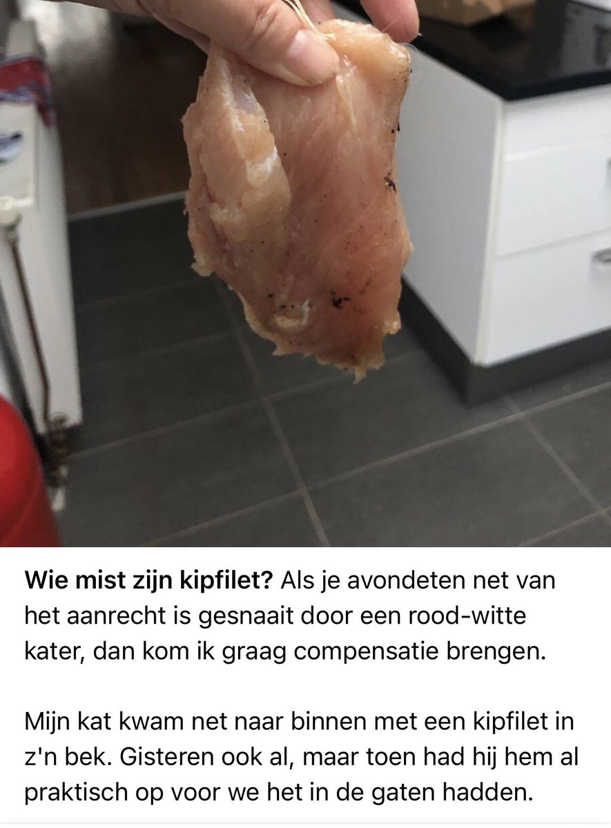 Alles is kut, behalve dit NextDoor berichtje over de Haagse kipfilet-stelende kater https://t.co/5RsM7McYTY