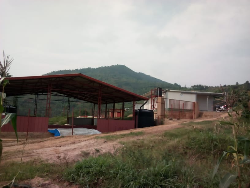 TM_Flowers's tweet photo. @oxfaminrwanda @Duhamic1 @rulindodistrict @EUinRW @OxfamIreland @RwandaFinance @FloraHollandEN Among our key partners, @SAIP_SAPMP did a great job by investing in the high end collection centres with cooling rooms. We are sure of the quality flower stems https://t.co/vC0tEhcWpW