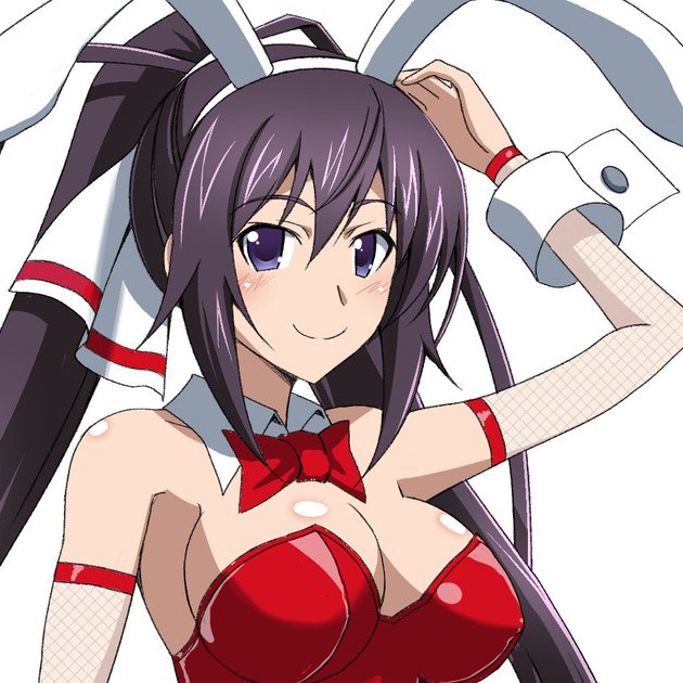 今日の篠ノ之箒 のイラスト マンガ コスプレ モデル作品 7 件 Twoucan