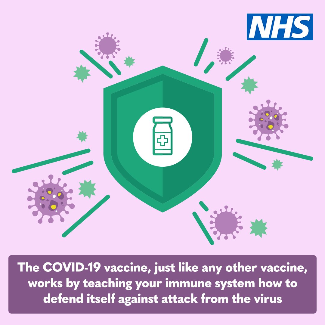 LNWH_NHS's tweet photo. Did you know ❓ 

The Pfizer/BioNtech COVID – 19 vaccine, teaches your immune system to fight of the virus.  

Getting vaccinated protects you and your loved ones. 

 Find out how here 👉 https://t.co/WMOimcH5XV https://t.co/bAOl6HeBQQ