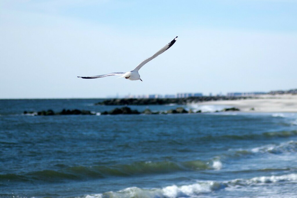 skinydan98's tweet photo. #52frames week 4 2021 alternate. Really like this shot and as a photo I think it's better in some ways than the submitted shot but the water wasn't as much of a focus so I chose the other. Still like it.
.
.
#52frames_water #52frames_alternate https://t.co/DoT76ExxIh https://t.co/TdMJtvSXKP