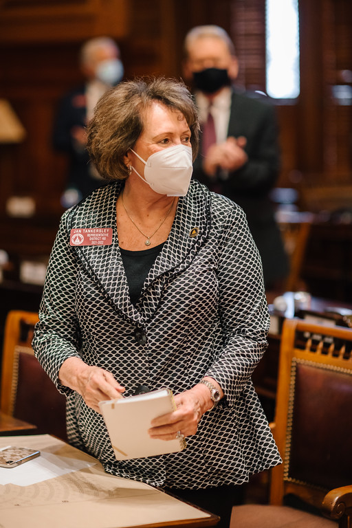 Jan_Tankersley's tweet photo. Welcome to another #GoldDome Update! Inside this newsletter, you will find information on #BudgetWeek and committee assignments!  - https://t.co/WV5krUAH3R https://t.co/ZCoxxm3iXh