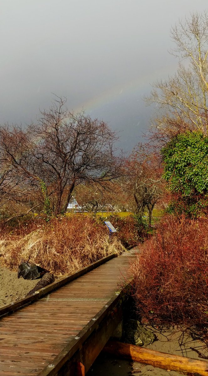 howyougo's tweet photo. Should have listened to the Canadian Geese, they knew Grumpy Old Man Winter was cranky but I was prepared!
#bike #downbytheriver #bcstorm #monday #january #winter #StormHour #canadageese #vancouver #hail #rainbow #grumpyoldmanwinter #sunshine #clouds #ShareYourWeather https://t.co/mEvs6dPoSI