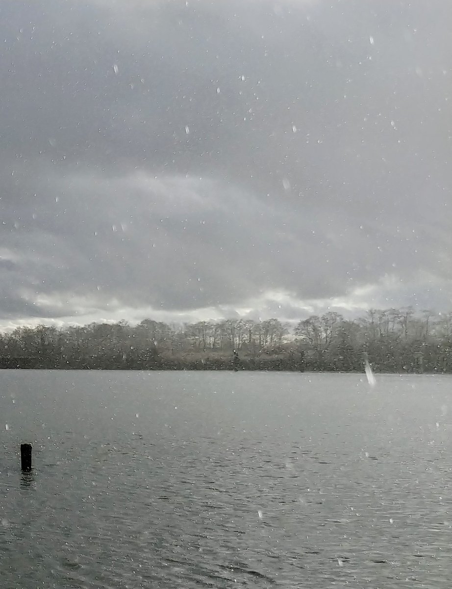 howyougo's tweet photo. Should have listened to the Canadian Geese, they knew Grumpy Old Man Winter was cranky but I was prepared!
#bike #downbytheriver #bcstorm #monday #january #winter #StormHour #canadageese #vancouver #hail #rainbow #grumpyoldmanwinter #sunshine #clouds #ShareYourWeather https://t.co/mEvs6dPoSI