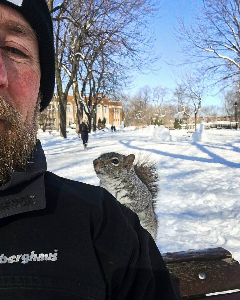 “Psssst. Hey, mister. Did you know, if you share a bite of your croissant with a Montreal squirrel you’ll have friends for life” 😉
.
.
.
#montreal #plateaumontroyal #montrealsquirrels #mtlmoments #mtlblog #photographerslife #greysquirrel instagr.am/p/CKg4KVJna-A/