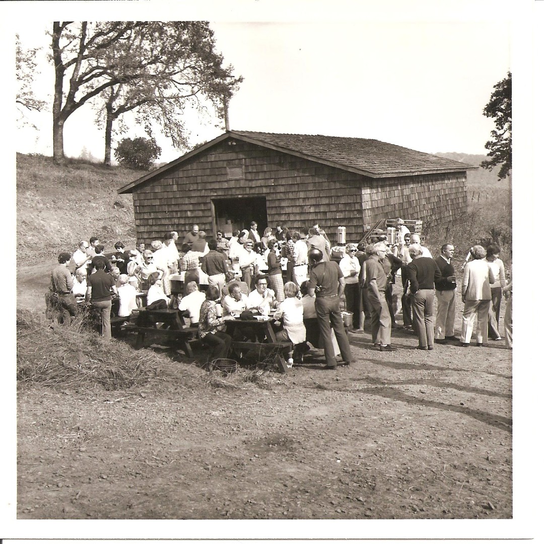 Founders Cal and Julia Lee Knudsen loved hosting friends and family at Knudsen Vineyard!  This photo was taken in the mid-to-late 1970's during one of Knudsen Vineyards' annual harvest parties.

This building still stands on the property today.
