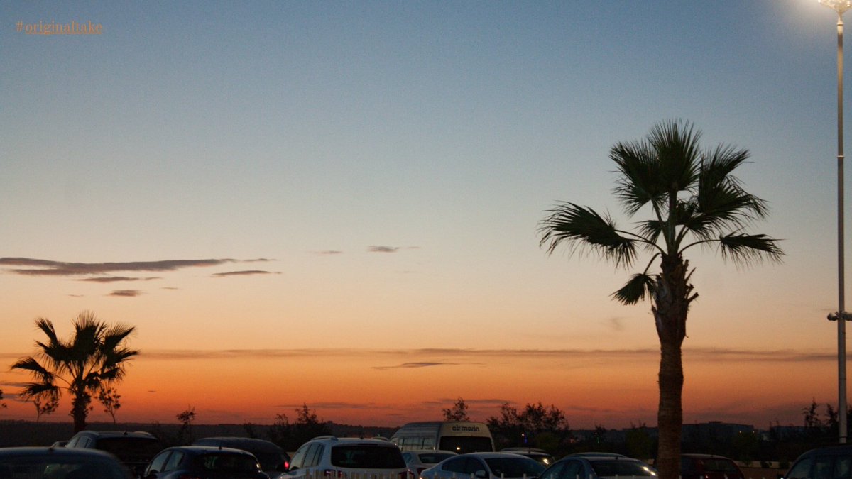 Opacarophile: a person who loves sunsets 🧡
#sunsetphotography