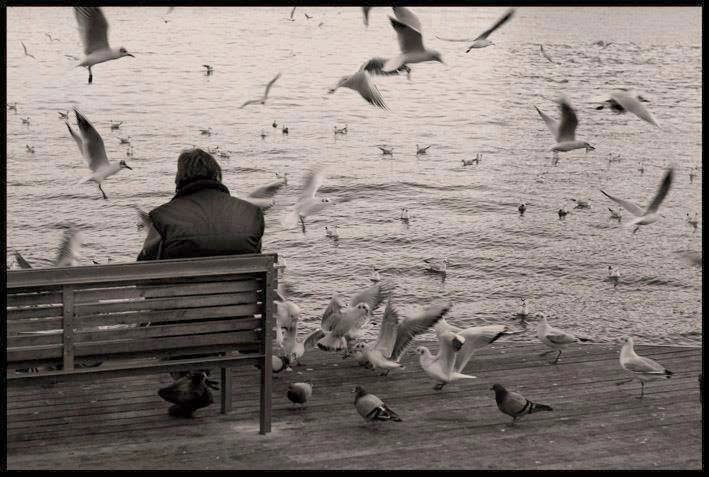 "أن تكون محل ثقة هي نعمة أكبر بكثير من أن تكون محبوباً فقط"❤